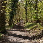 sheringham-wood-walk