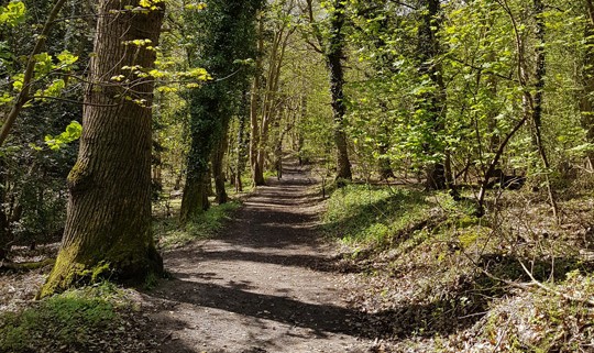 sheringham-wood-walk