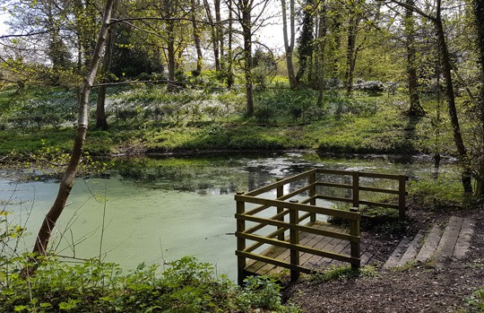 sheringham-wood-lake sheringham-wood-lake