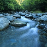 body river surrounded by dress