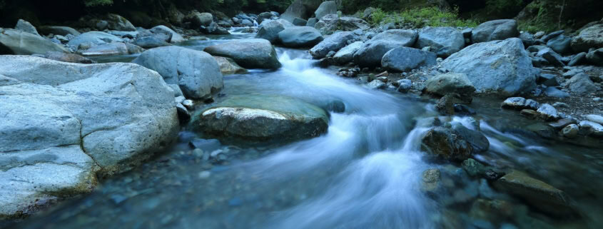 body river surrounded by dress