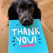 dog biting Thank You mail paper