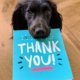 dog biting Thank You mail paper