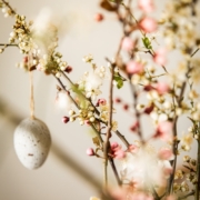 white round ornament on brown stem