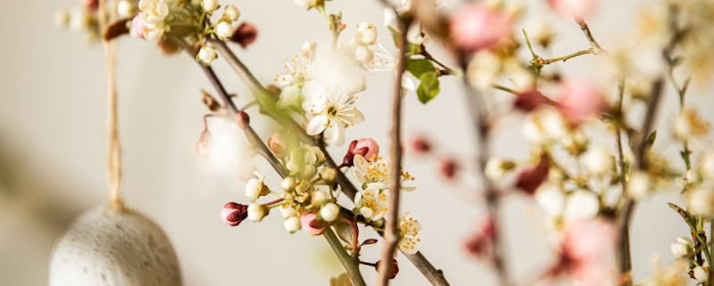 white round ornament on brown stem